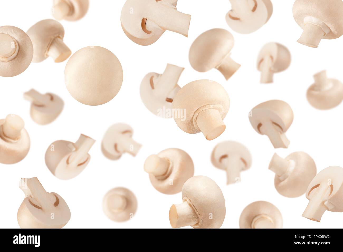 Creative levitation pattern with mushroom. Selective focus. Isolated ...