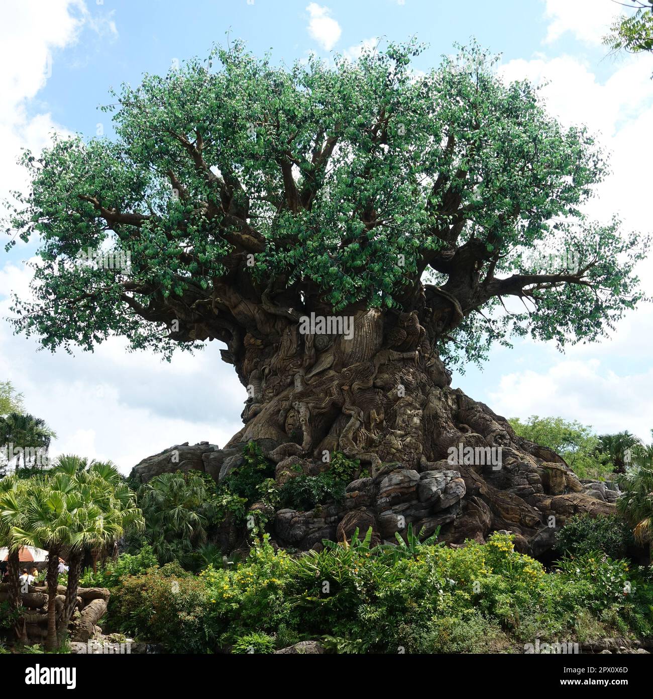 Orlando, FL USA -May 12, 2019:  The Tree of Life at Animal Kingdom at  Walt Disney World  in Orlando, Florida. Stock Photo
