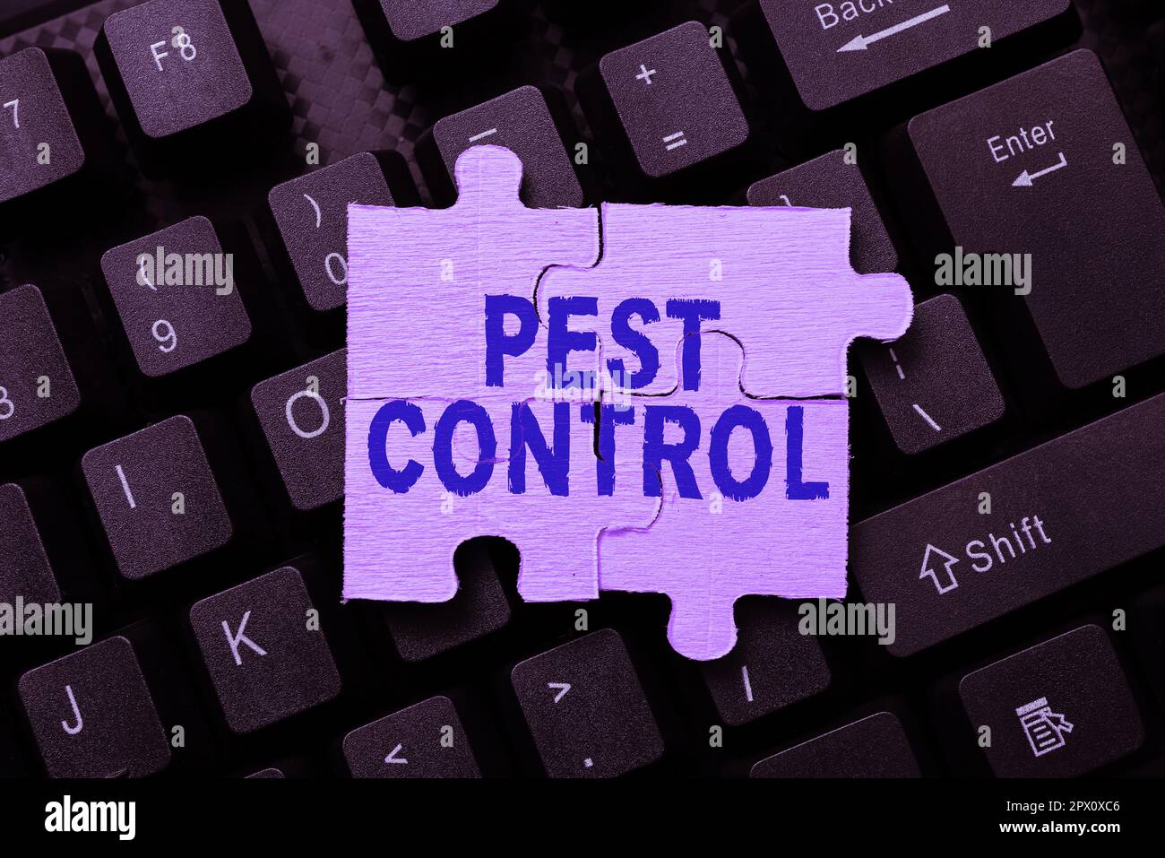 Text caption presenting Pest Control, Business approach Killing ...