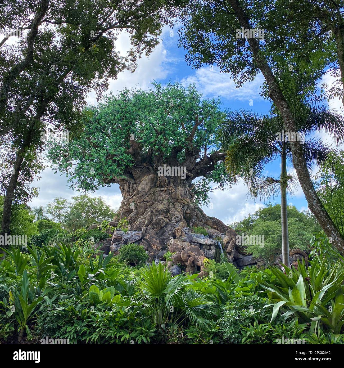 Orlando, FL USA -July 18, 2020: The Tree of Life at Animal Kingdom at  Walt Disney World  in Orlando, Florida. Stock Photo