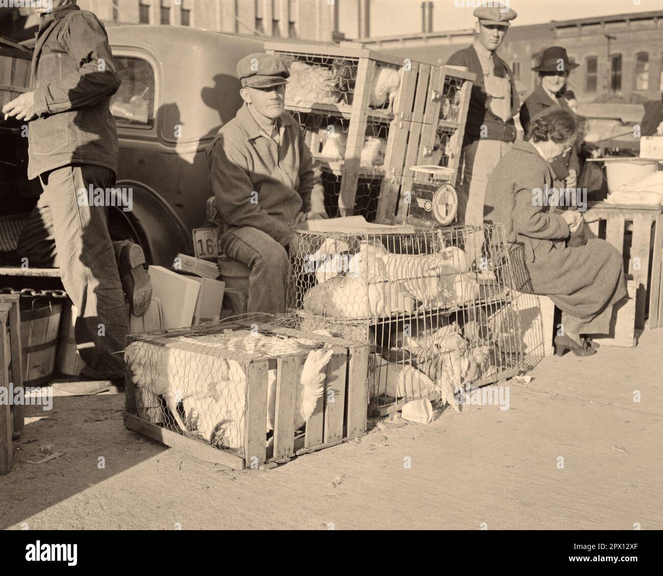 1930s ANONYMOUS FARMER SELLING LIVE DUCKS AND CHICKENS AT ROADSIDE MARKET IN KANSAS CITY MISSOURI USA - m697 HAR001 HARS POULTRY RECESSION ROADSIDE UNEMPLOYMENT WORLDWIDE BLACK AND WHITE CAUCASIAN ETHNICITY DOWNTURN HAR001 MIDWEST MIDWESTERN OLD FASHIONED Stock Photo