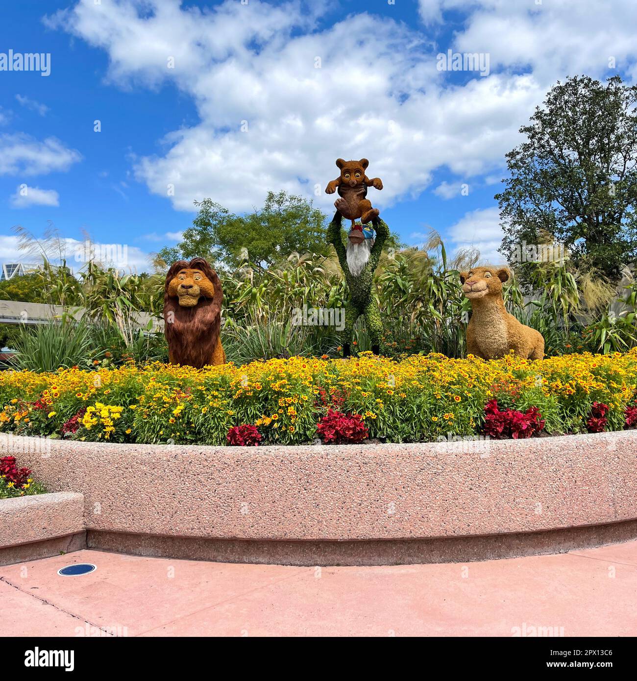 orlando, FL USA April 27, 2021 The Flower and Garden Festival flowers