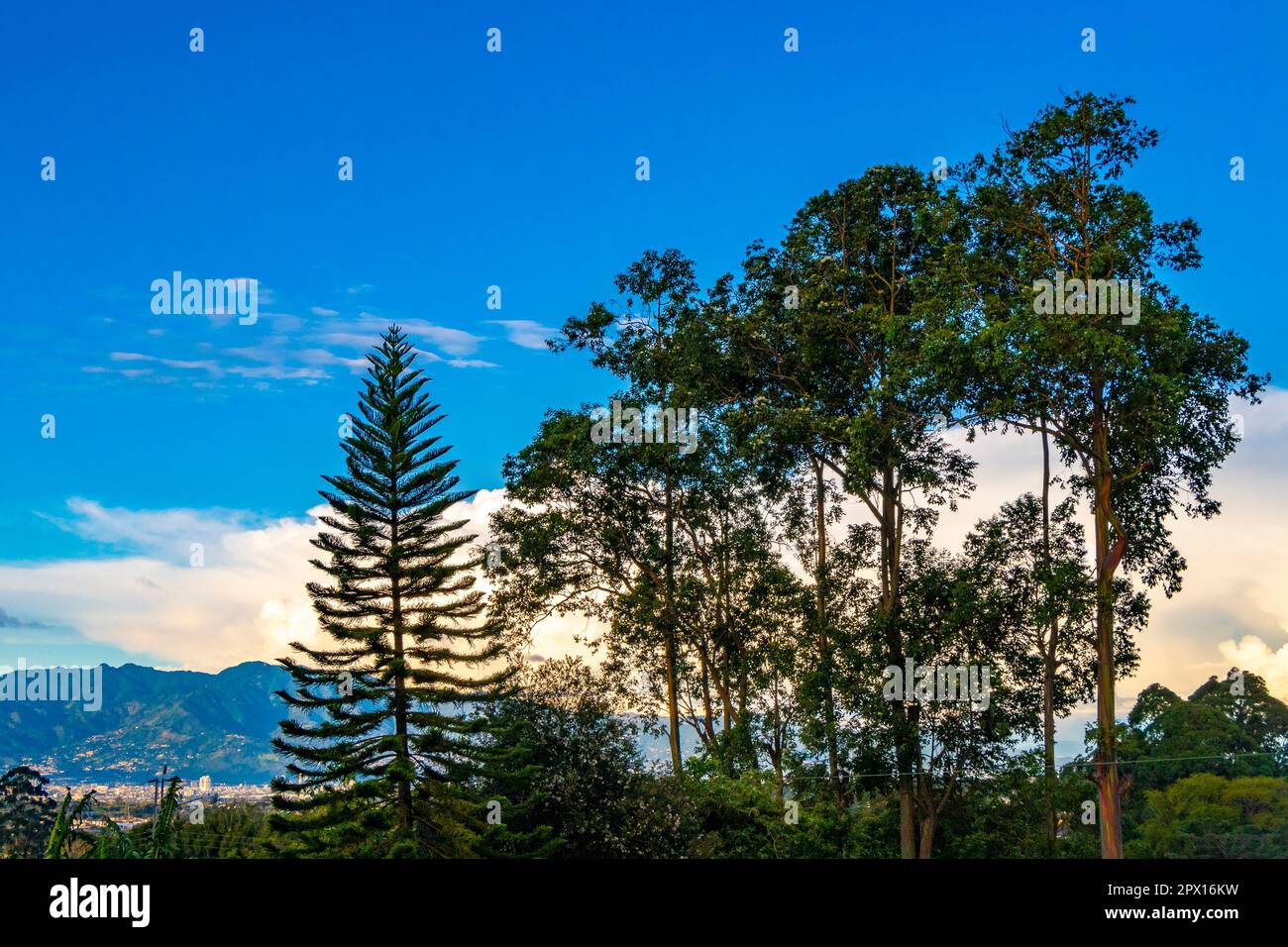 Beautiful mountain landscape and city panorama with forest trees clouds and nature of San José and Heredia Costa Rica in Central America. Stock Photo