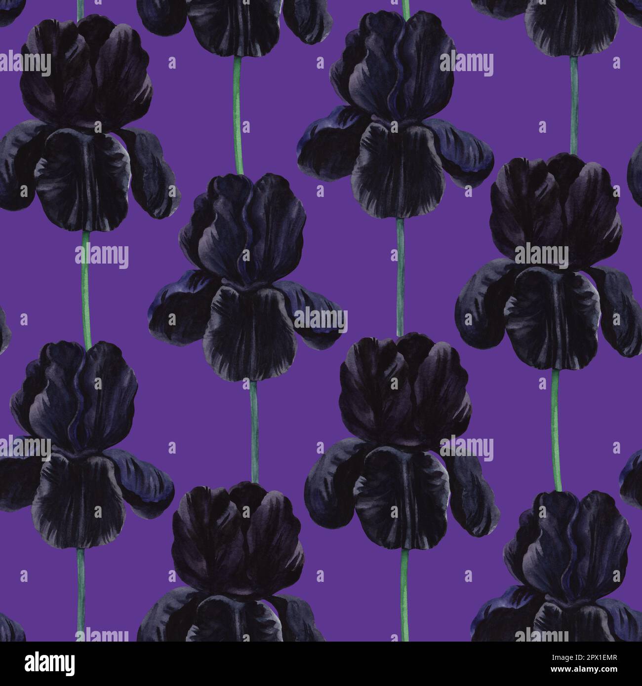 Gothic floral seamless pattern with watercolor black and purple velvet ...