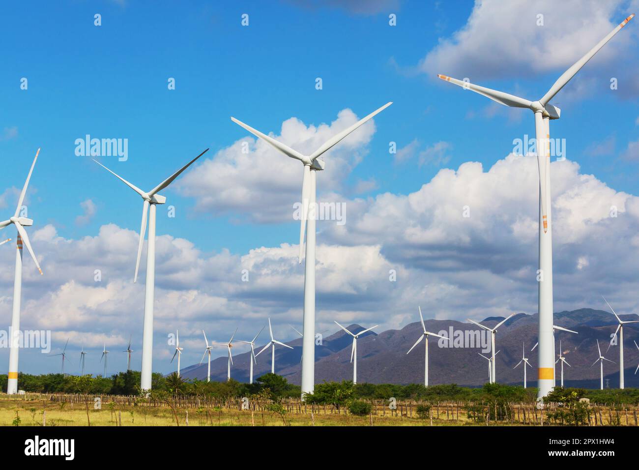 Windmills in the rural landscapes Stock Photo - Alamy