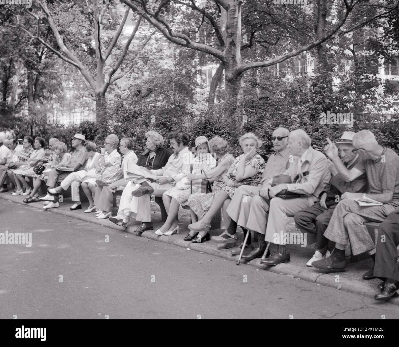 1970s LONG BENCH IN CITY PARK WITH ALL ELDERLY MEN AND WOMEN SEATED WITH THE EXCEPTION OF ONE YOUNGER MAN - s21144 HAR001 HARS UNITED STATES COPY SPACE FRIENDSHIP HALF-LENGTH LADIES PERSONS UNITED STATES OF AMERICA MALES RETIREMENT SENIOR MAN SENIOR ADULT B&W SUMMERTIME SENIOR WOMAN RETIREE OLD AGE OLDSTERS OLDSTER LEISURE CANES AND AGING RECREATION OPPORTUNITY NYC ELDERS CONNECTION CONCEPTUAL NEW YORK CITIES RETIREES SUPPORT NEW YORK CITY PANORAMIC COOPERATION RELAXATION SEASON TOGETHERNESS YOUNGER BLACK AND WHITE CAUCASIAN ETHNICITY HAR001 OLD FASHIONED Stock Photo