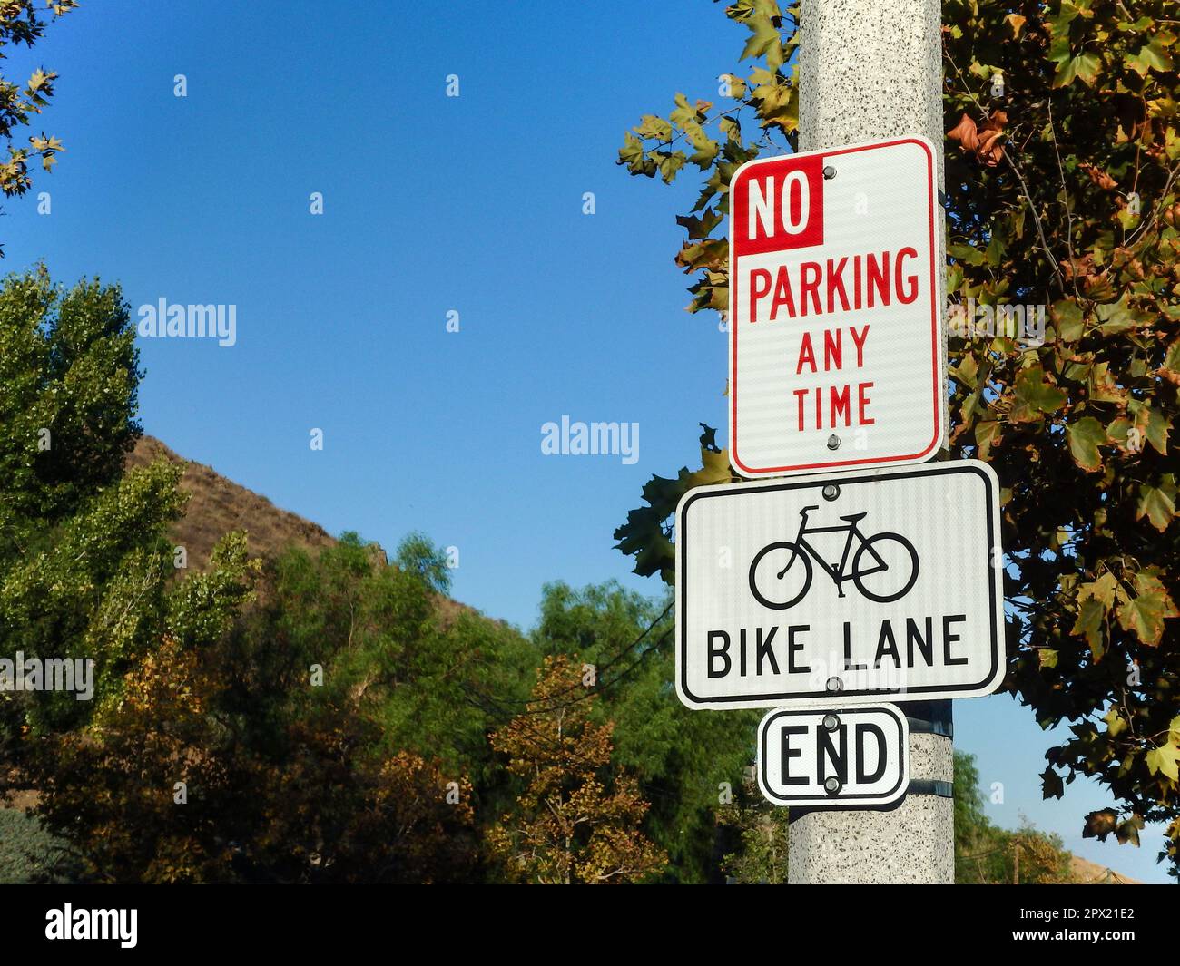 No parking and bike lane road sign Stock Photo Alamy