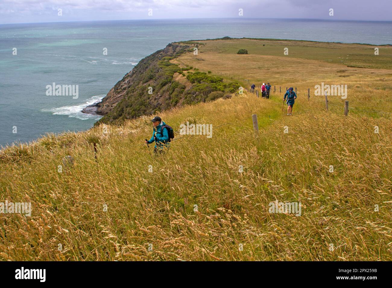Hikers on Cape Bridgewater, part of the Great South West Walk Stock Photo