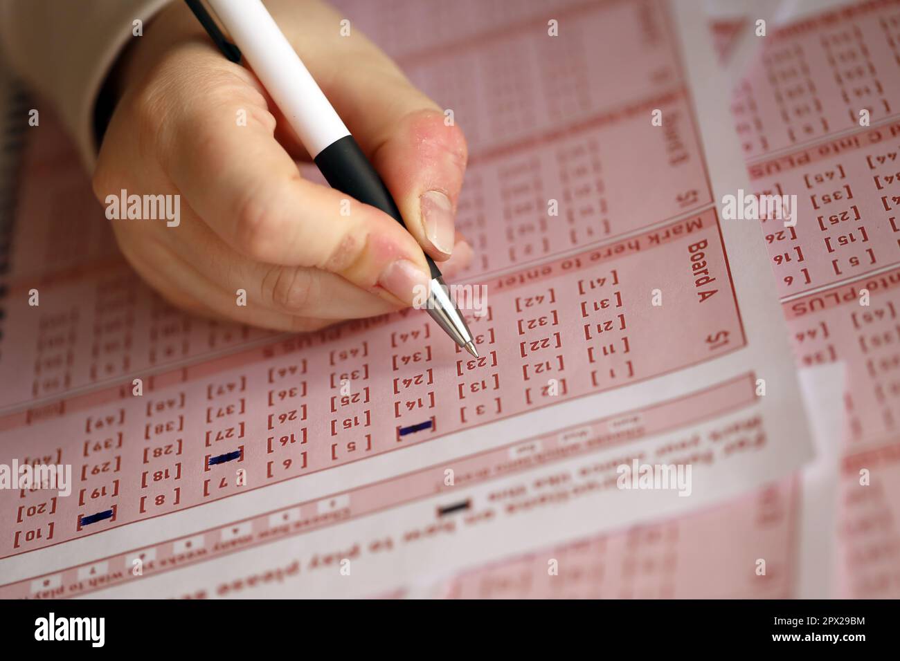 Filling out a lottery ticket. A young woman plays the lottery and ...