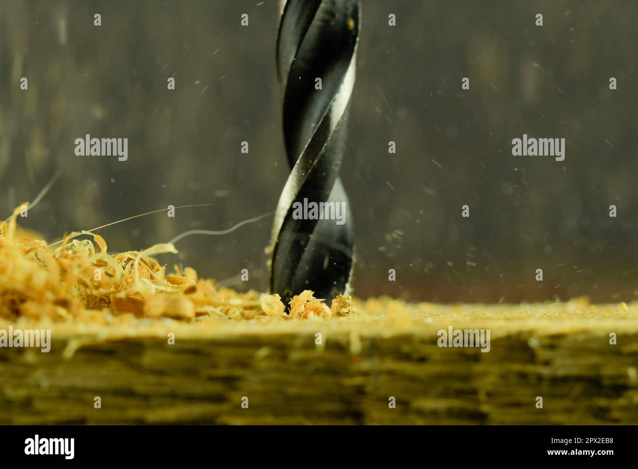 Rotating drill in wood. Drill with flying wood chips. Concept for