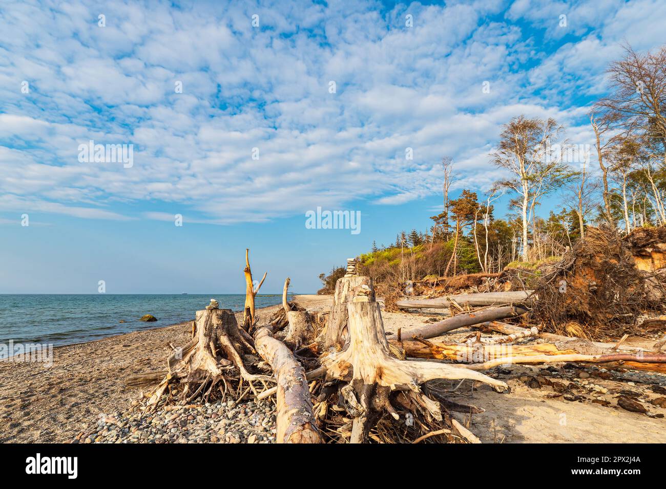 Beach on shore of the Baltic Sea in Graal Mueritz, Germany. Stock Photo