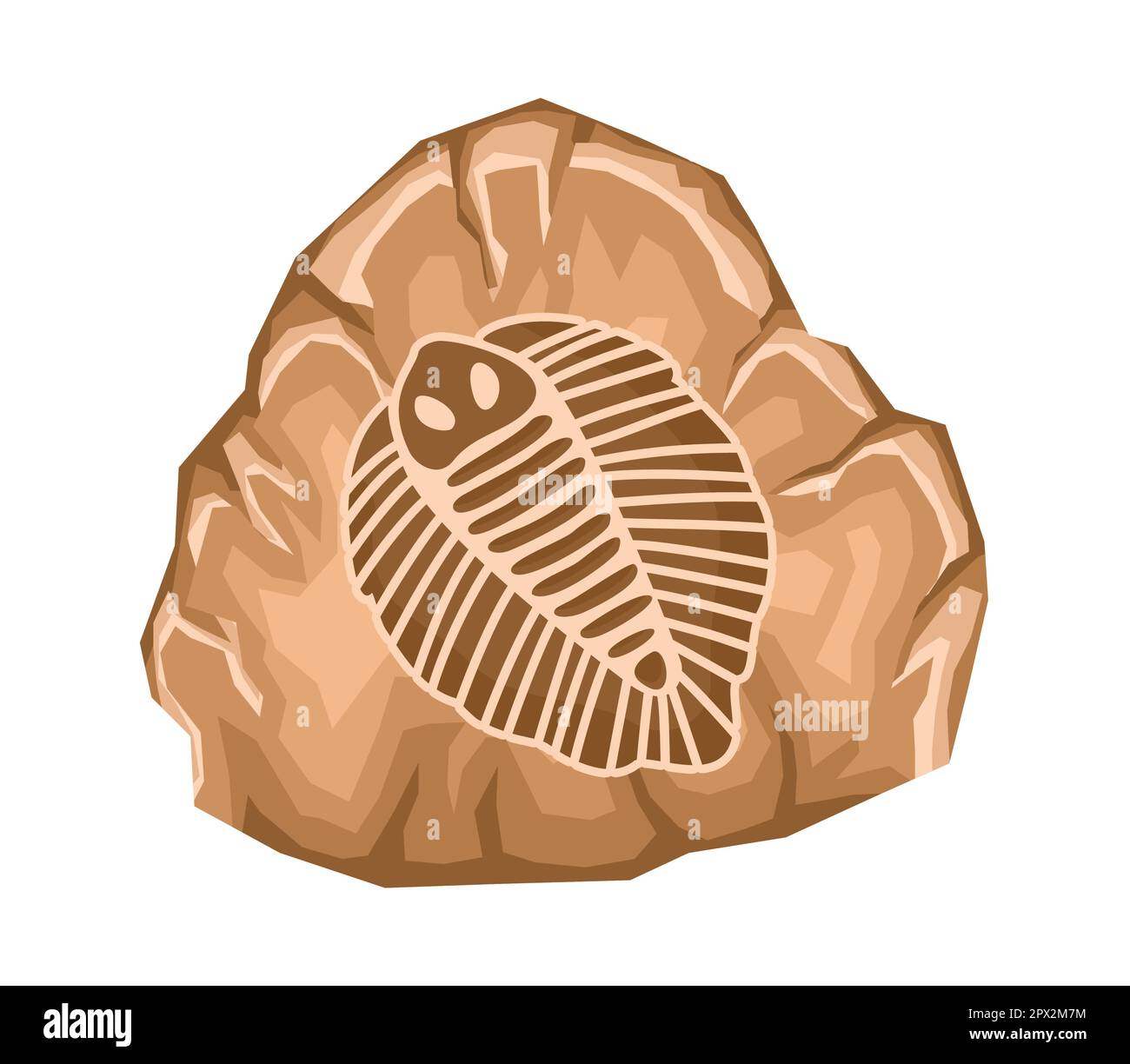 Archaeological fossil dig Stock Vector Image & Art Alamy