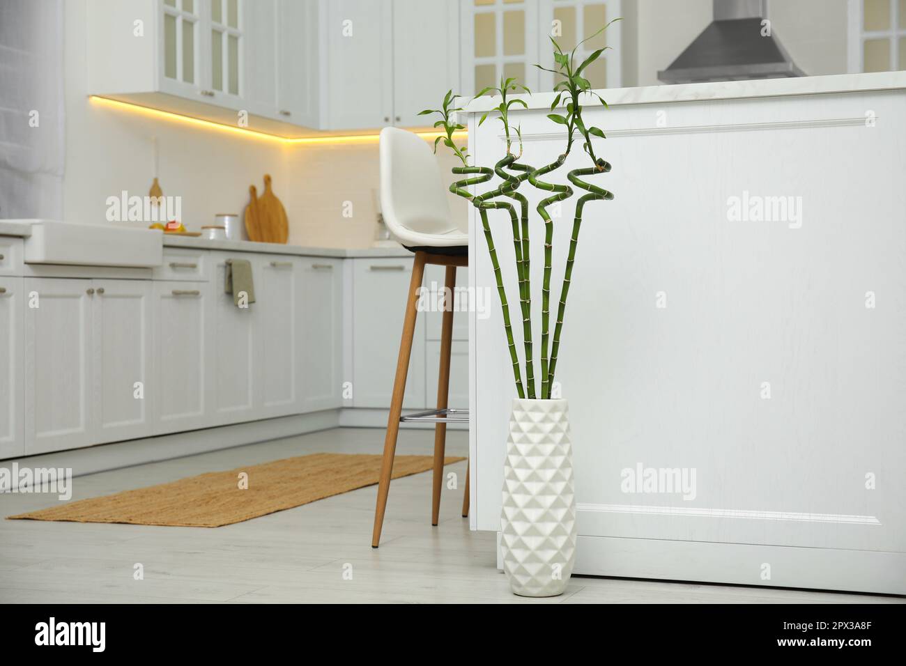 Lucky bamboo in a kitchen hi-res stock photography and images - Alamy