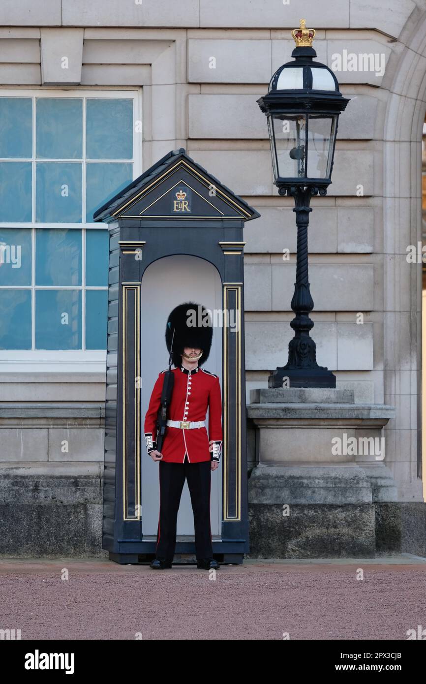 London, UK. A King's Guard stands in the grounds of Buckingham Palace in red uniform and bearskin hat. Stock Photo