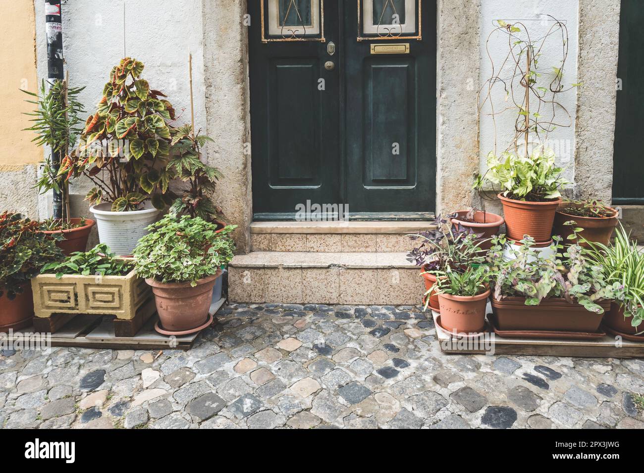 Front stoop stairs steps hi-res stock photography and images - Alamy