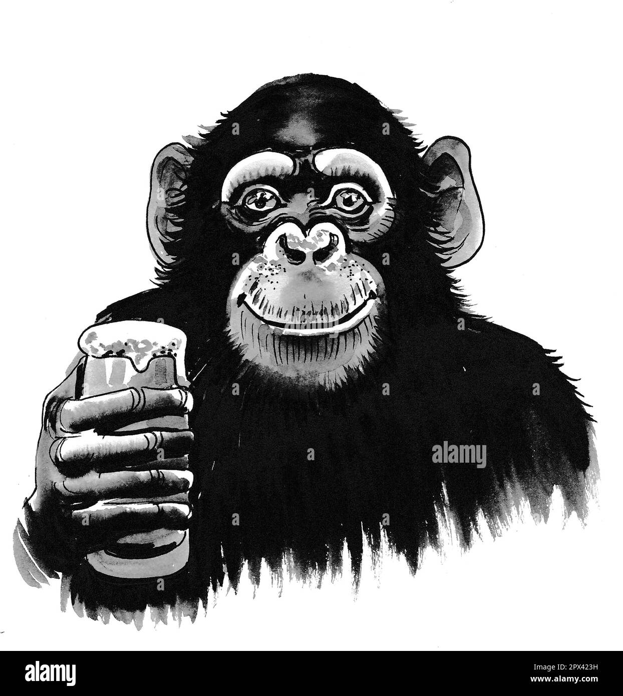 Chimpanzee drinking a glass of beer. Hand-drawn ink on paper black and white illustration Stock Photo