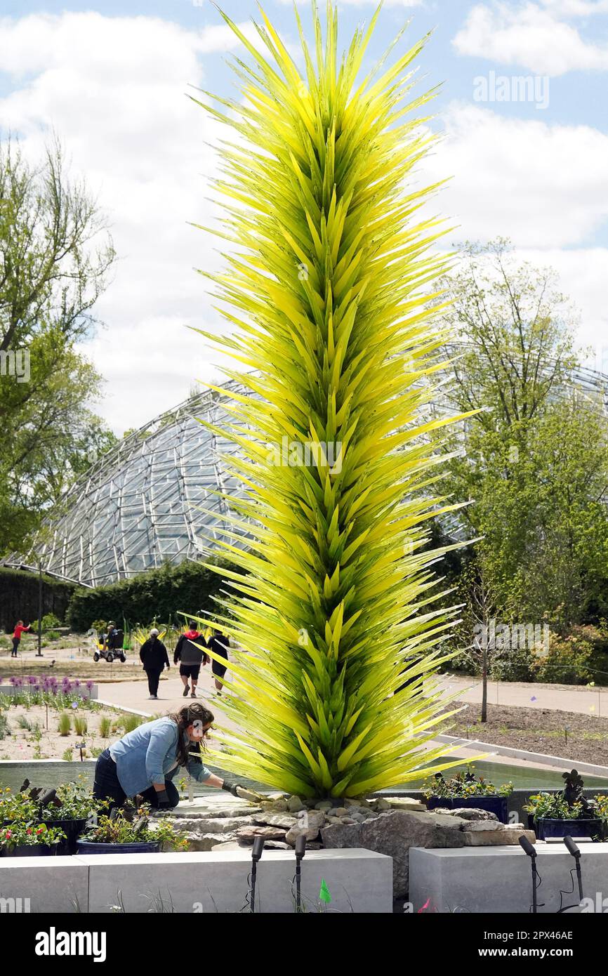 St. Louis, United States. 01st May, 2023. A worker puts the finishing touches on the Chihuly Vivid Lime Icicle Tower at the entry to the Missouri Botanical Gardens in St. Louis on Monday, May 1, 2023. The blown glass forms of artist Dale Chihuly will be on display at the Botanical Gardens from May 2, 2023 through October 15, 2023. Photo by Bill Greenblatt/UPI Credit: UPI/Alamy Live News Stock Photo