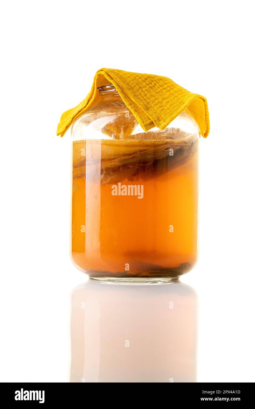 Jar of fermenting kombucha isolated on white Stock Photo - Alamy