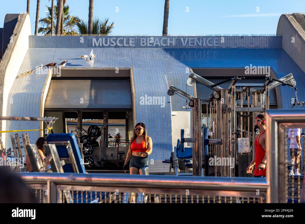 The iconic muscle beach gym on the foreshore of Venice Beach California