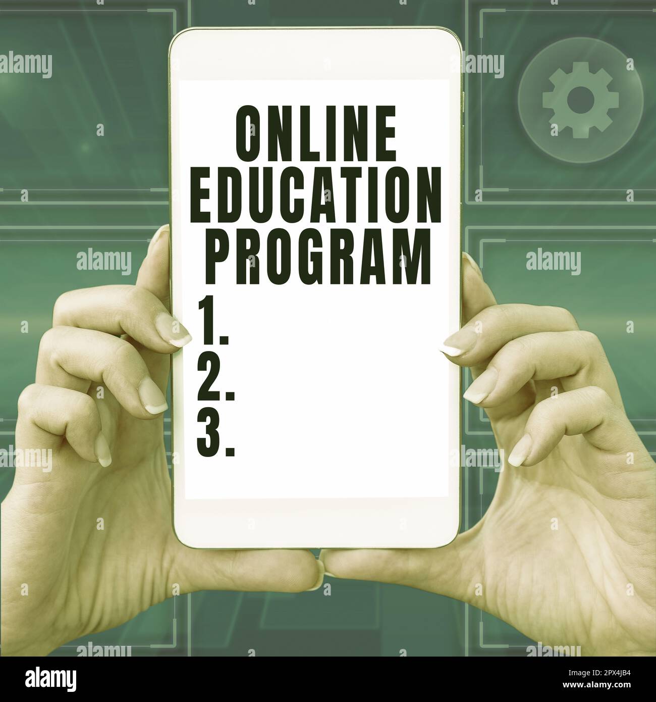 Text sign showing Online Education Program, Business approach Software development and programming courses Stock Photo