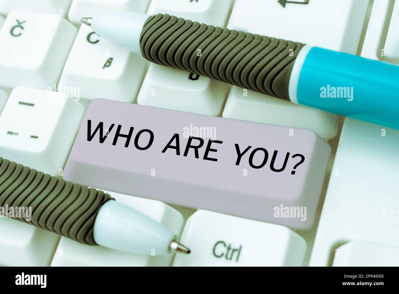 Conceptual display Who Are You, Concept meaning Identify yourself