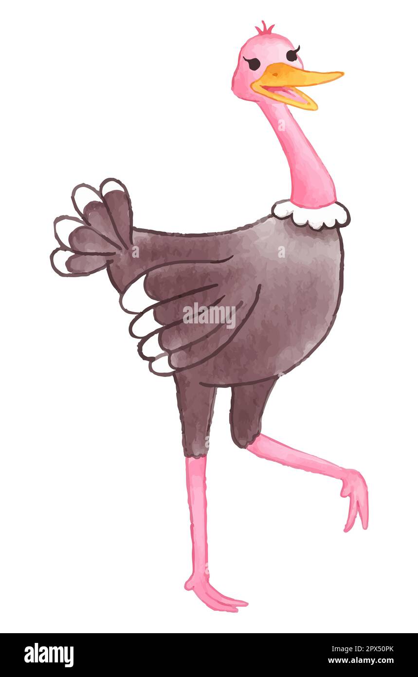 Ostrich . Watercolor paint design . Cute animal cartoon character . Walking gesture . Vector . Stock Vector