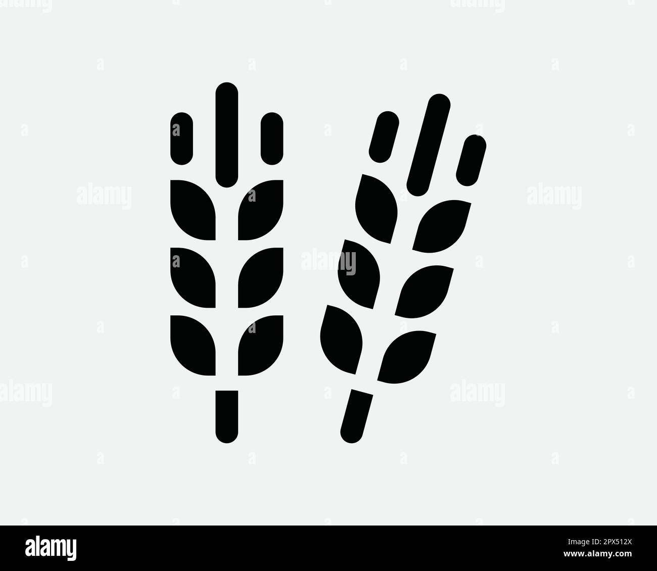 Wheat Rye Barley Grain Seed Plant Harvest Cereal Organic Healthy Crop Black and White Icon Sign Symbol Vector Artwork Clipart Illustration Stock Vector