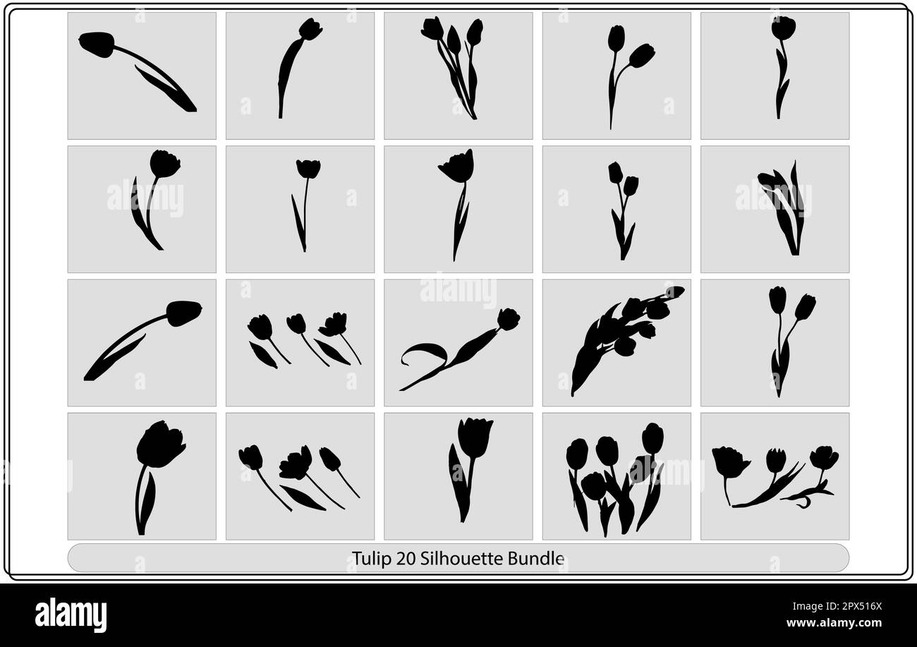 Vector black silhouettes of spring flowers tulips, narcissus and iris