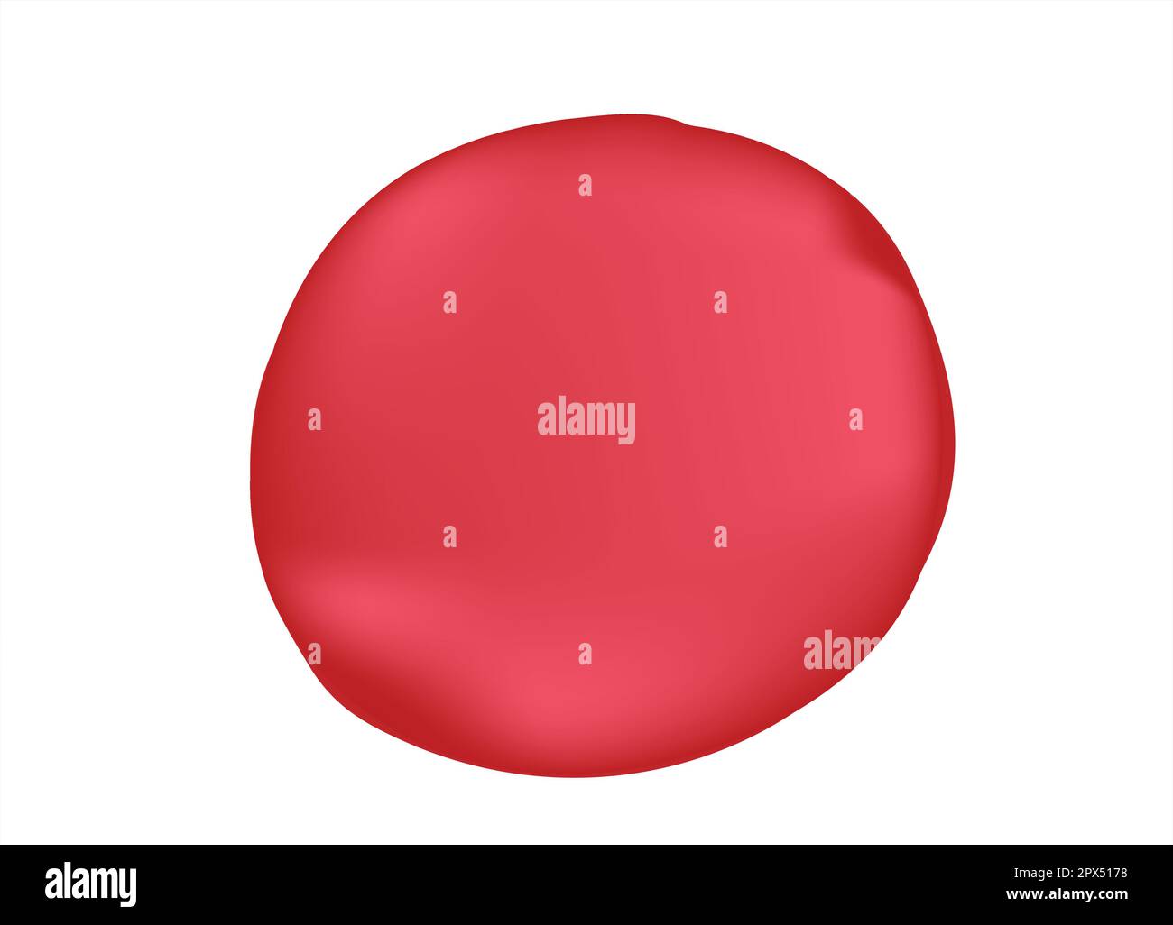 Outer anatomy of the red blood cell Stock Vector