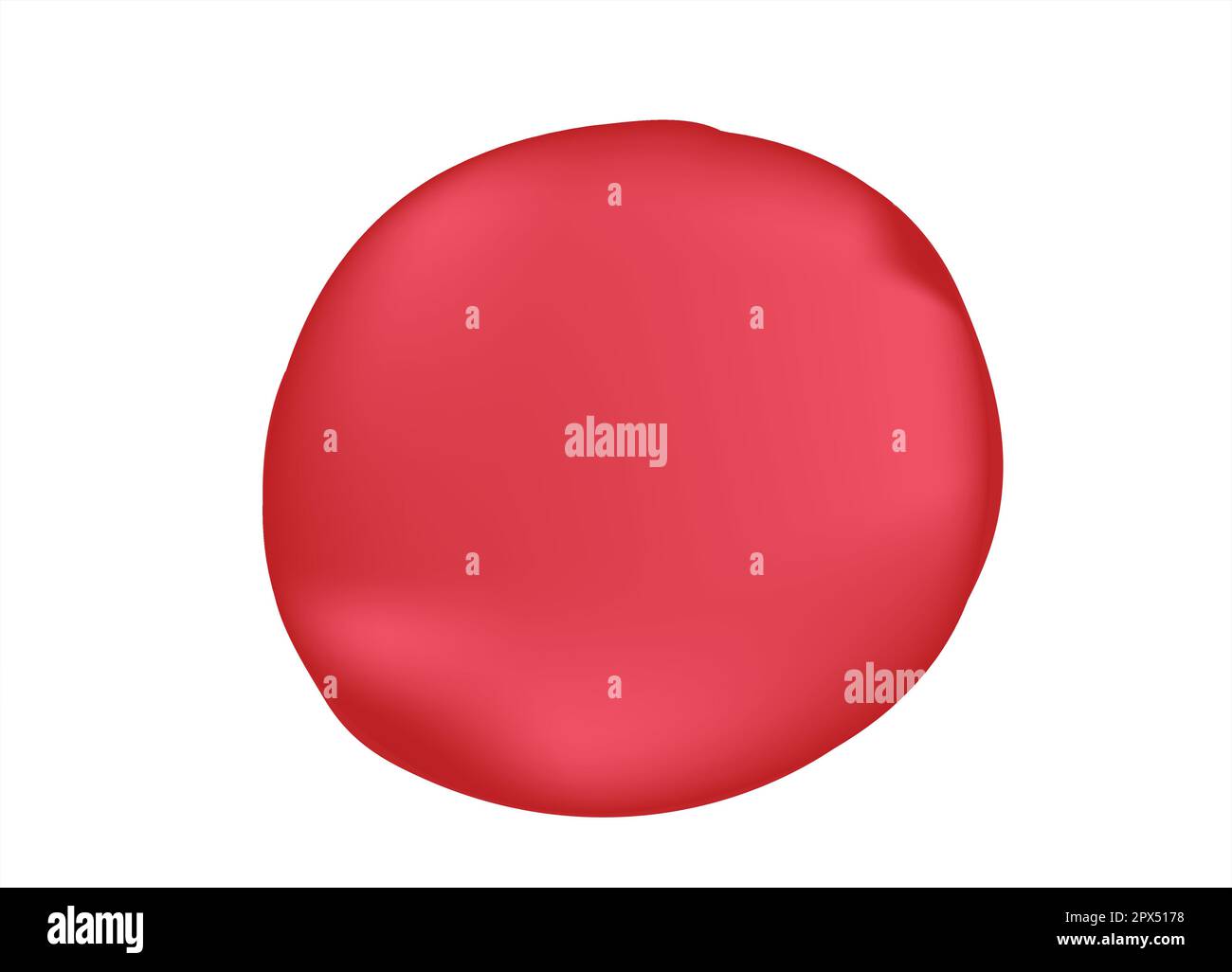 Outer anatomy of the red blood cell Stock Vector Image & Art - Alamy