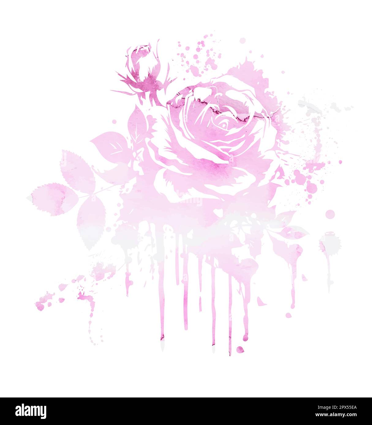 Vector stock flower illustration, Pink rose on a white background ...