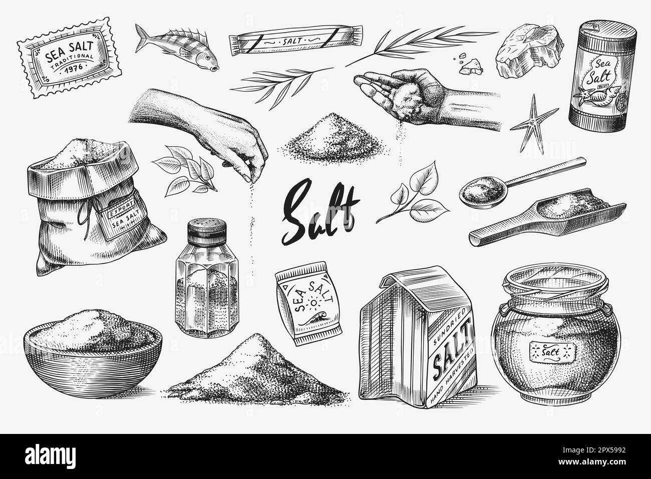 Sea salt set. Glass bottles, packaging and and leaves, wooden spoons