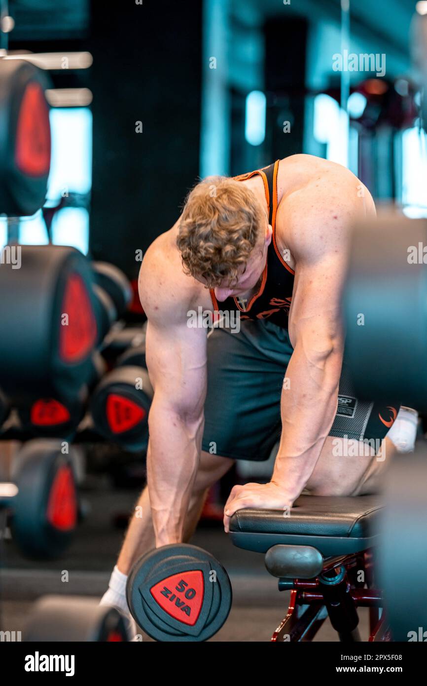 one handed dumbbell pull ups in a forward bend on a bench. High quality photo Stock Photo Alamy