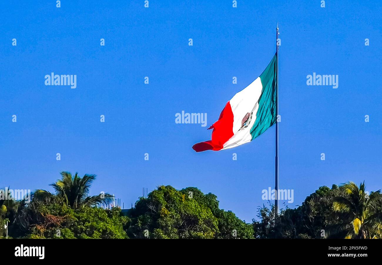 Mexican green white red flag with palm trees and blue sky and clouds in