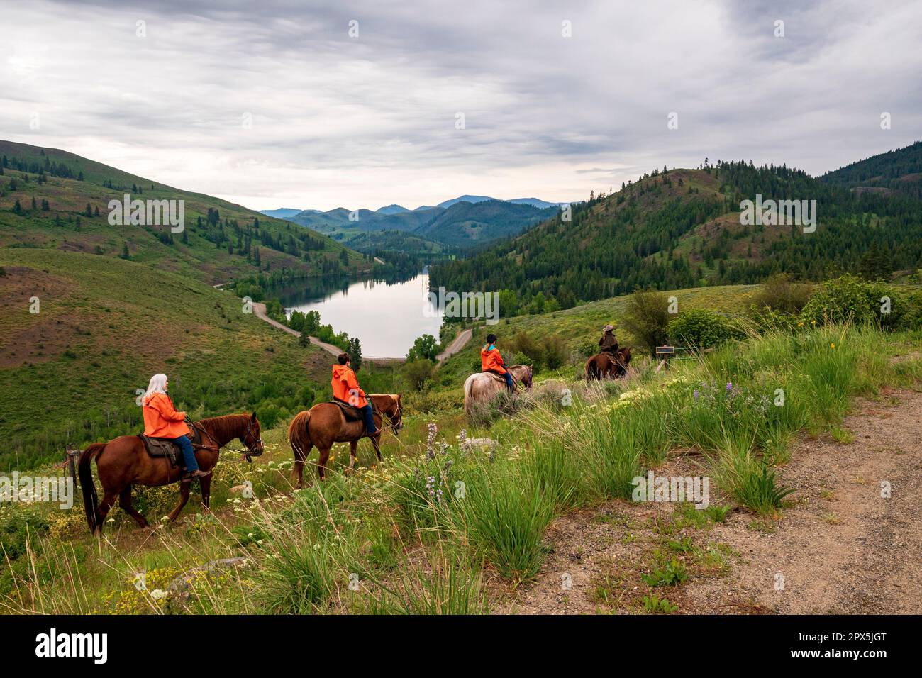Four horses with riders in orange rain jackets walk a trail on Sun Mountain, with Patterson Lake and Cascade Mountains in the distance. Stock Photo