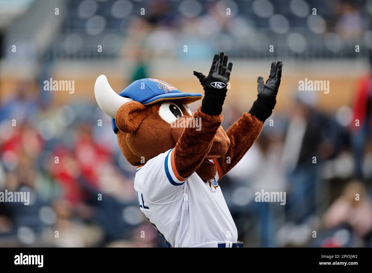Durham, NC Durham Bulls mascot Wool E. Bull entertains the fans during