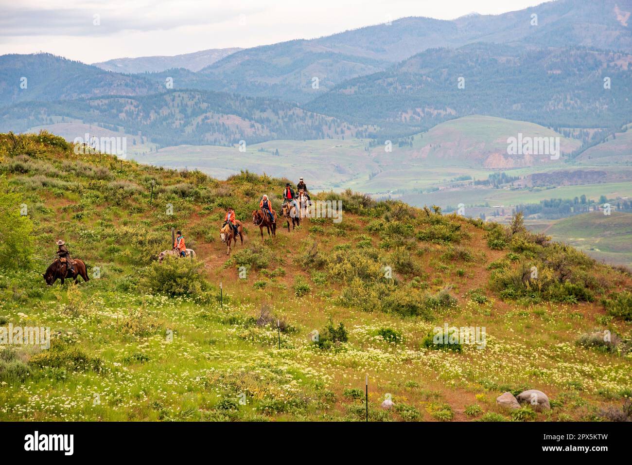 Women in orange rain jackets ride horses along a trail on Sun Mountain with near Winthrop, Washington. Stock Photo