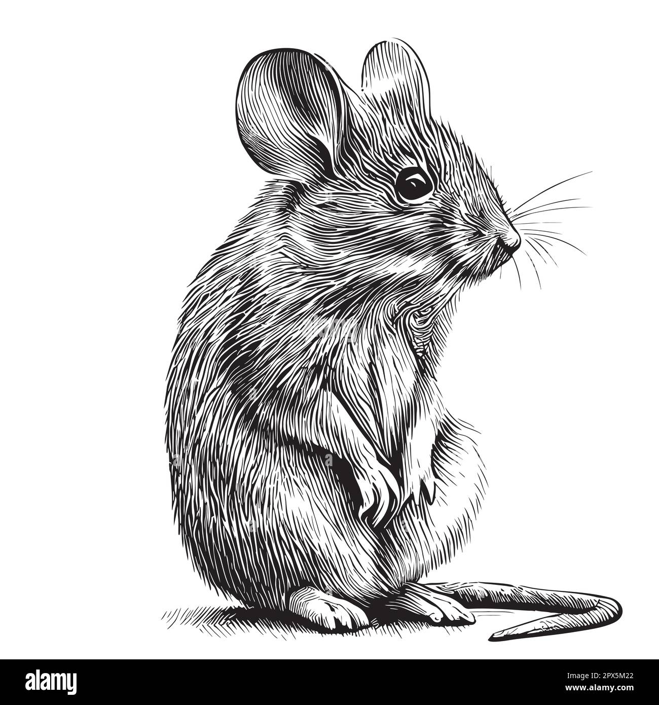 Little mouse, hand drawn sketch in doodle style illustration Stock Vector