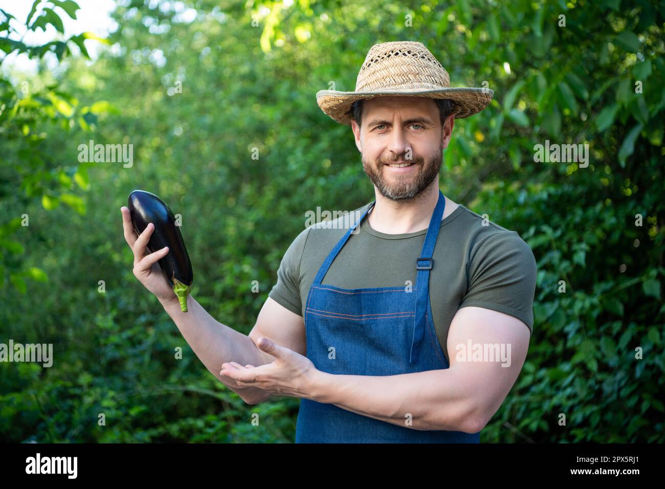 man greengrocer in straw hat presenting eggplant vegetable Stock Photo ...