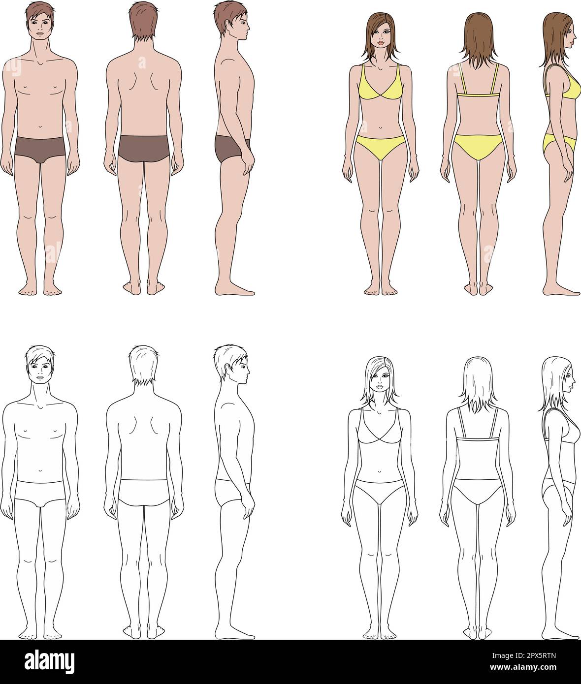 Set Of Male And Female Figure Templates Stock Vector Image Art Alamy set-of-male-and-female-figure-templates-stock-vector-image-art-alamy