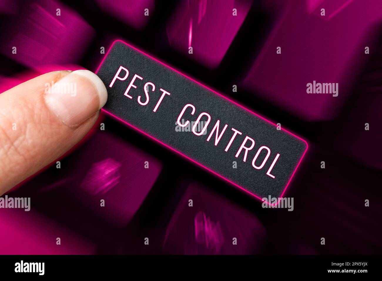 Internet Insects Sign displaying Pest Control, Internet Concept Killing destructive ...