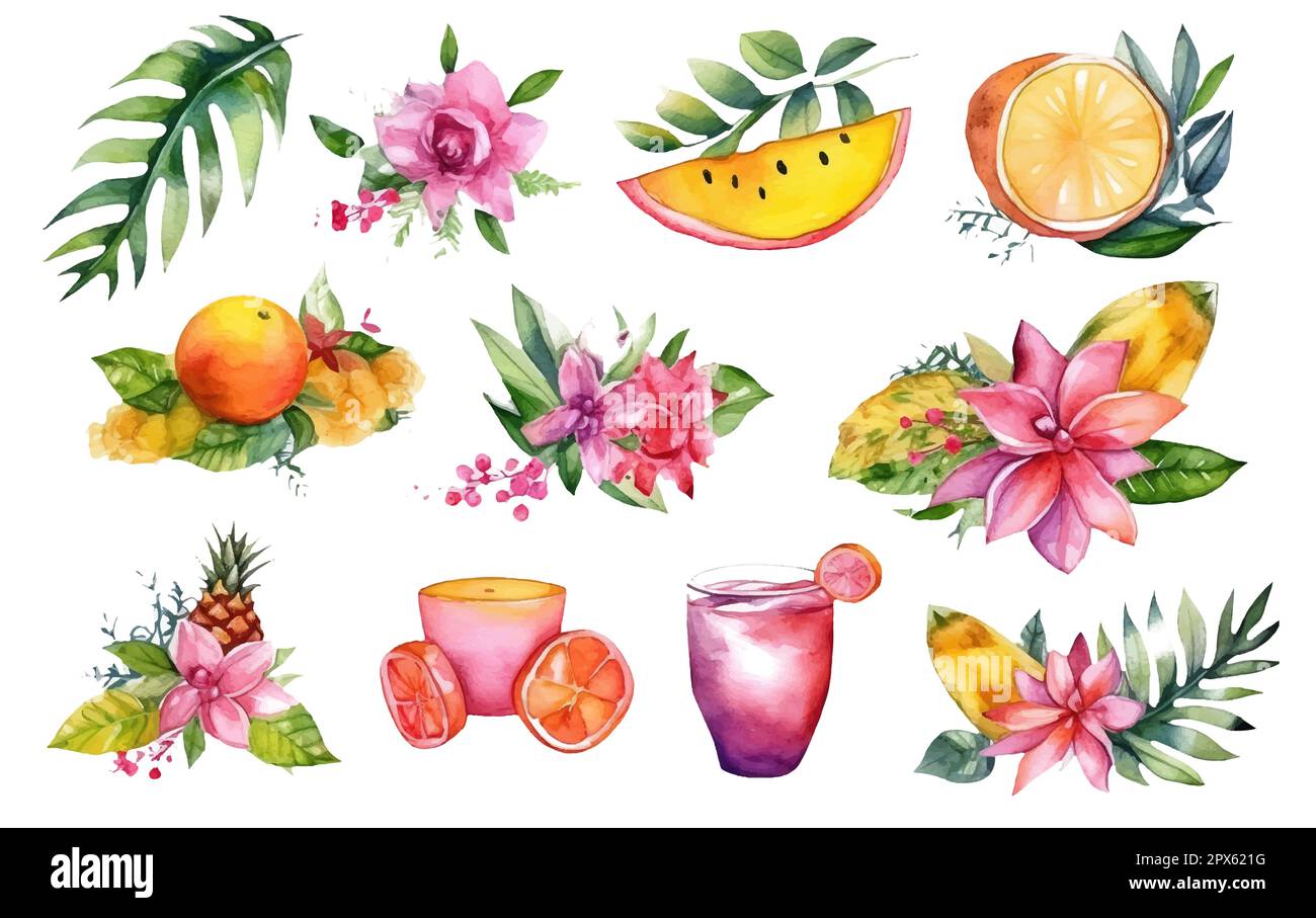 watercolor set vector illustration of tropical flowers isolated on ...