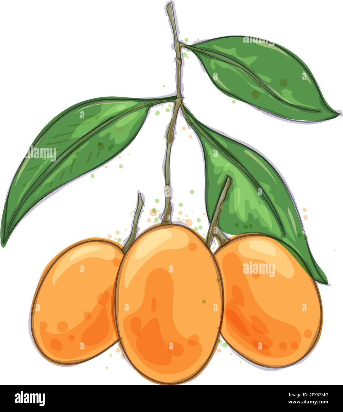 Marian plums watercolor design Stock Vector