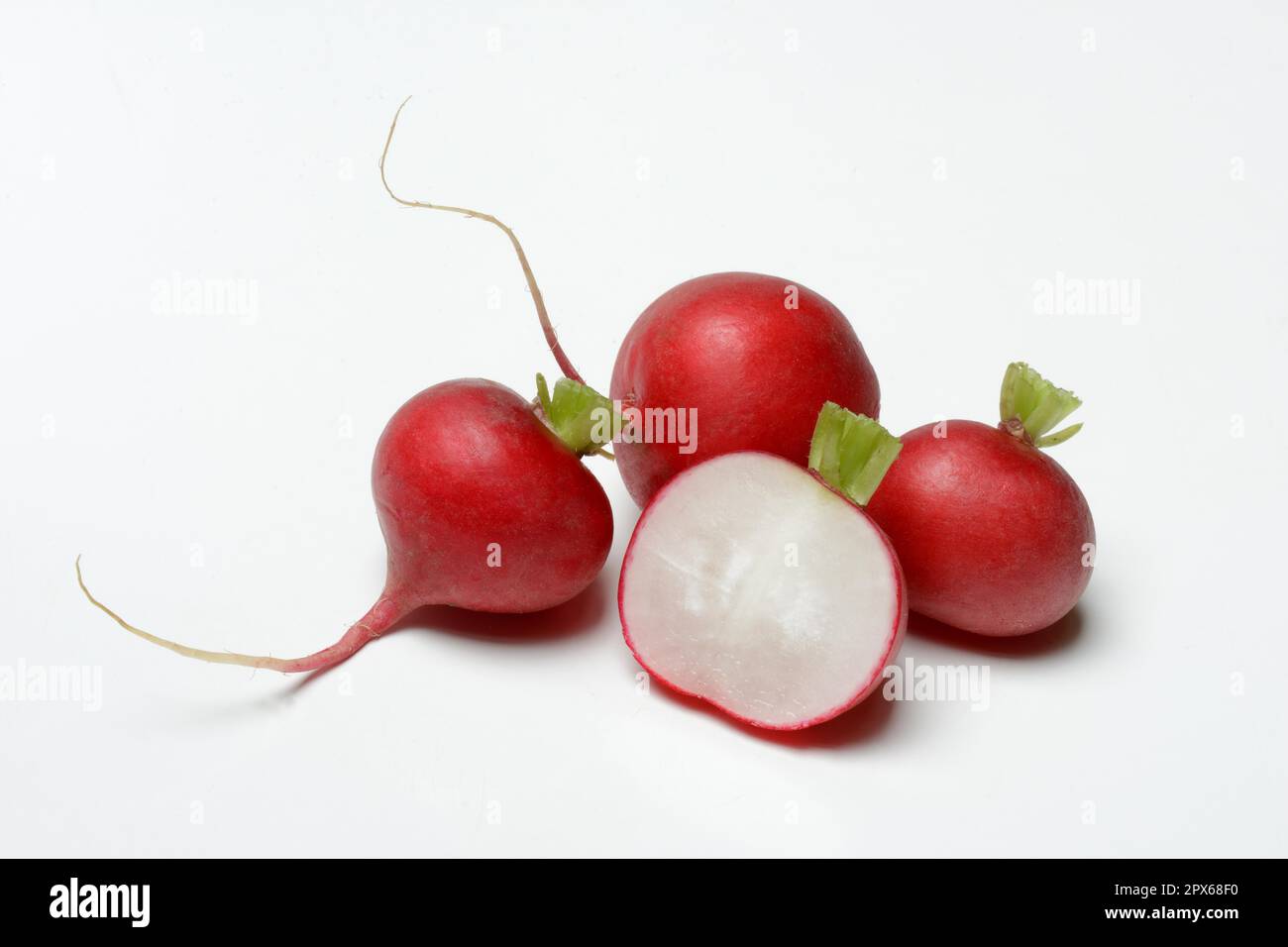 Radish (Raphanus sativus var. sativus), cut open Stock Photo Alamy