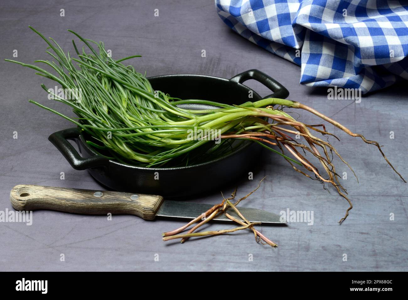 Monk's beard with knife on pot, Barba di frate, Italy Stock Photo - Alamy