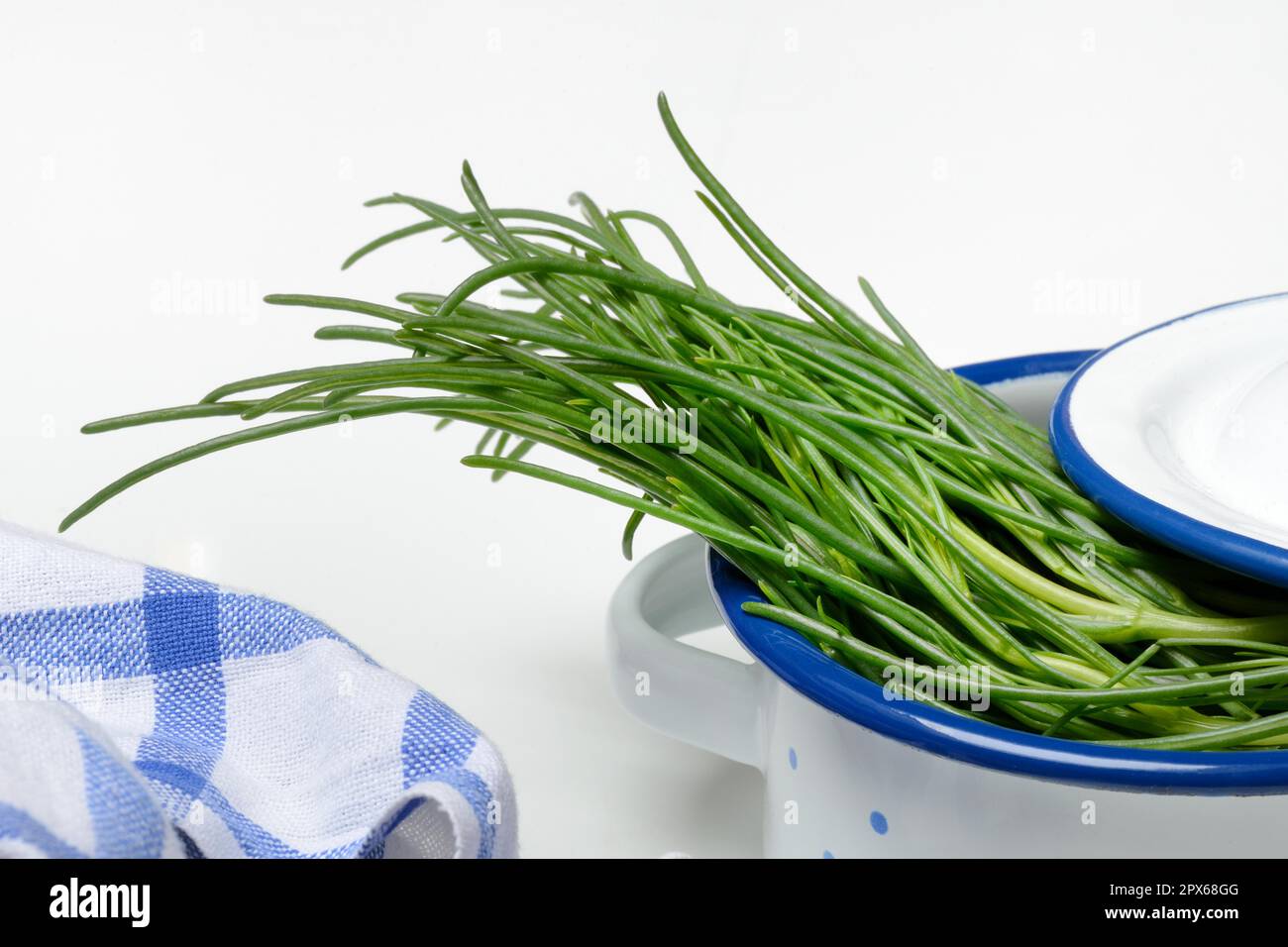 Monk's beard in pots, Barba di frate, Italy Stock Photo - Alamy