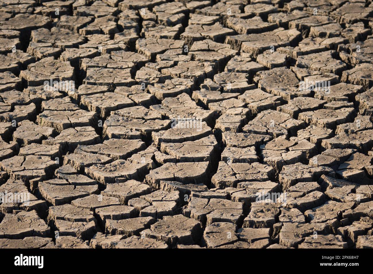 Cracks in a Dry Lake Bed Stock Photo