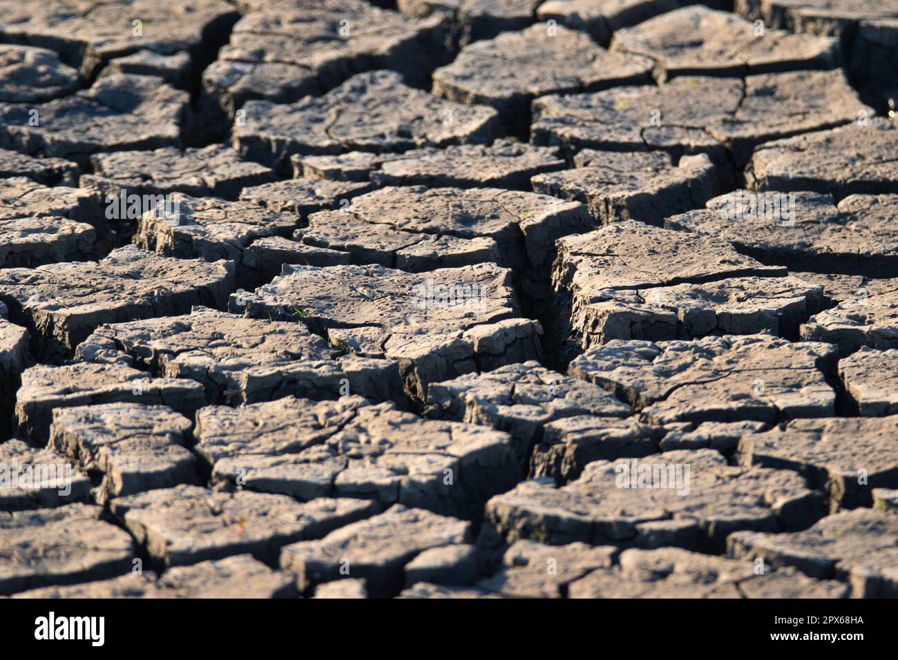 Dried Lake Mud during a Drought in Oklahoma Stock Photo Alamy