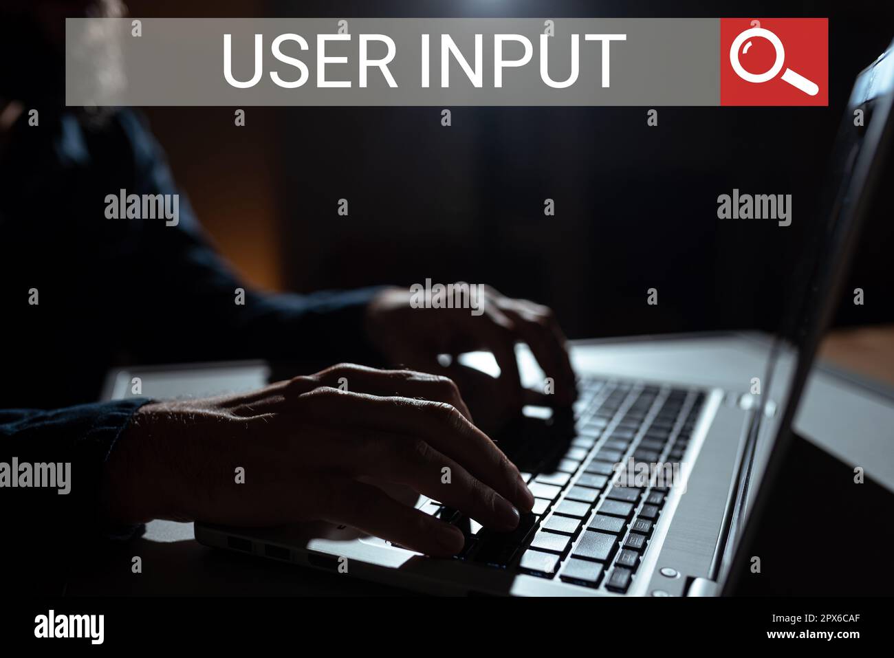 Conceptual caption User Input, Business overview Any information or