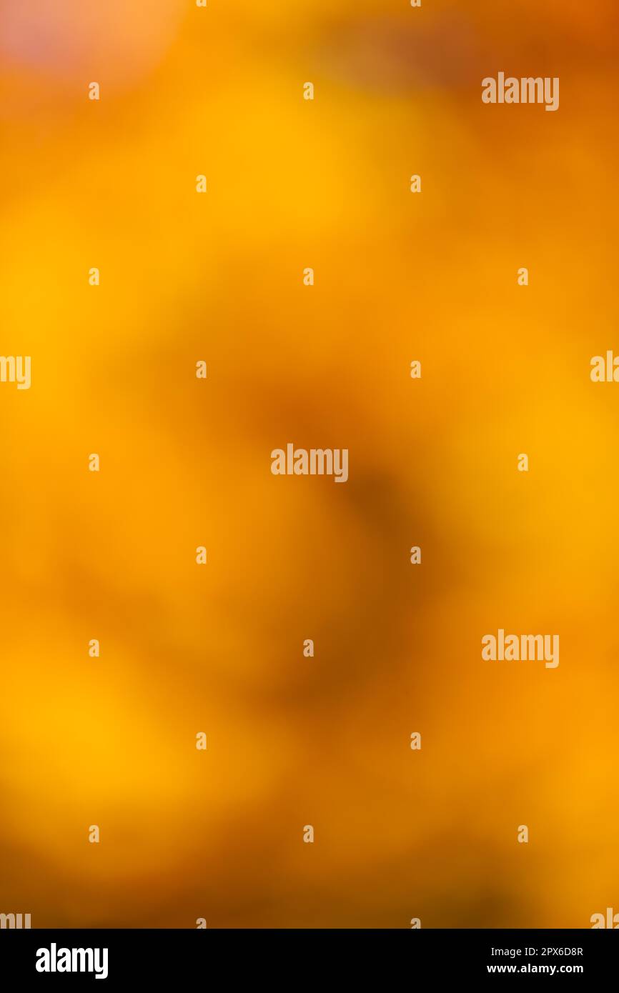 Texture Autumn Colours Background Stock Photo - Alamy